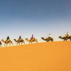 South Morocco Discovery