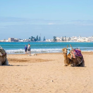 Essaouira Beach